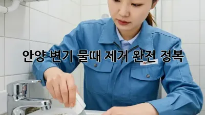 ✨ 안양 변기 물때 제거 완전 정복! 🚽✨