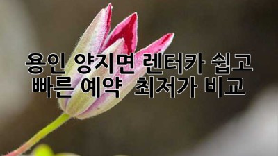 용인 양지면 렌터카: 쉽고 빠른 예약 & 최저가 비교