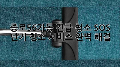 종로56가동 긴급 청소 SOS 🚨 단기 청소 서비스 완벽 해결! ✨